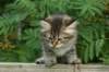 img_5349_small.jpg
