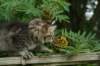 img_5352_small.jpg