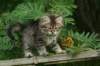 img_5354_small.jpg
