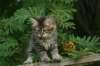 img_5356_small.jpg