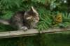 img_5363_small.jpg