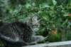 img_6644_small.jpg