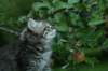 img_6654_small.jpg