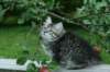img_6666_small.jpg