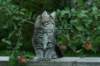 img_6674_small.jpg