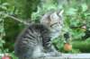 img_6676_small.jpg