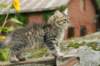 img_6837_small.jpg