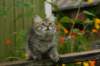img_6842_small.jpg