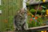 img_6843_small.jpg