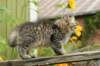img_6845_small.jpg