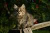 img_7295_small.jpg