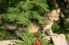 img_7299_small.jpg