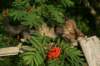 img_7301_small.jpg