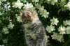 img_4450_small.jpg