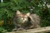 img_5411_small.jpg