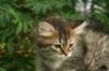 img_5415_small.jpg