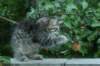img_6431_small.jpg