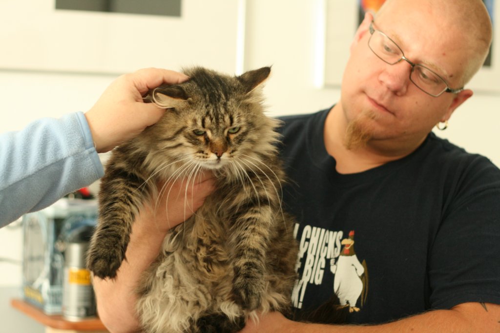 jonakahardrockandmikkomaunulahisfutureowner.jpg
