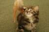 img_8976_small.jpg