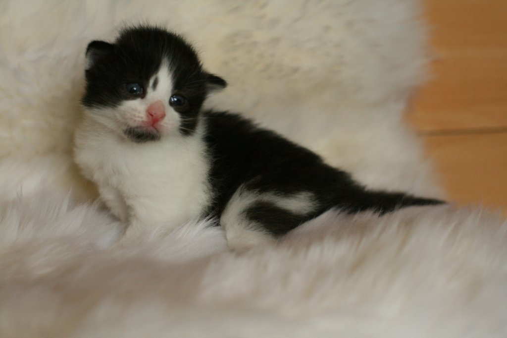 laikkuimg_8184.jpg