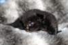 lakuimg_8364_small.jpg