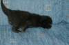 lakuimg_8396_small.jpg