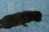 lakuimg_8398_small.jpg