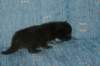 lakuimg_8402_small.jpg