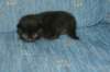 lakuimg_8403_small.jpg