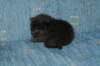 lakuimg_8405_small.jpg