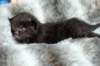 lakumg_8367_small.jpg