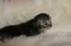 tikruimg_8210_small.jpg