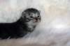tikruimg_8263_small.jpg