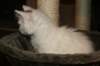 img_3663_small.jpg