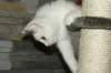 img_3668_small.jpg