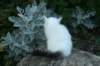 img_2324_small.jpg