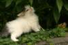 img_9295_small.jpg