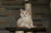 img_3618_small.jpg