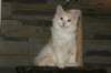 img_3621_small.jpg