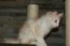 img_3623_small.jpg