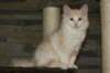 img_3624_small.jpg