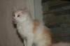 img_3626_small.jpg