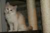 img_3627_small.jpg