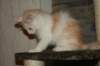 img_3628_small.jpg