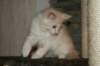 img_3629_small.jpg