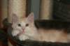 img_3631_small.jpg