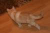 img_3632_small.jpg