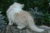 img_2392_small.jpg