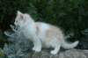 img_2413_small.jpg