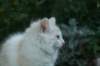 img_2428_small.jpg